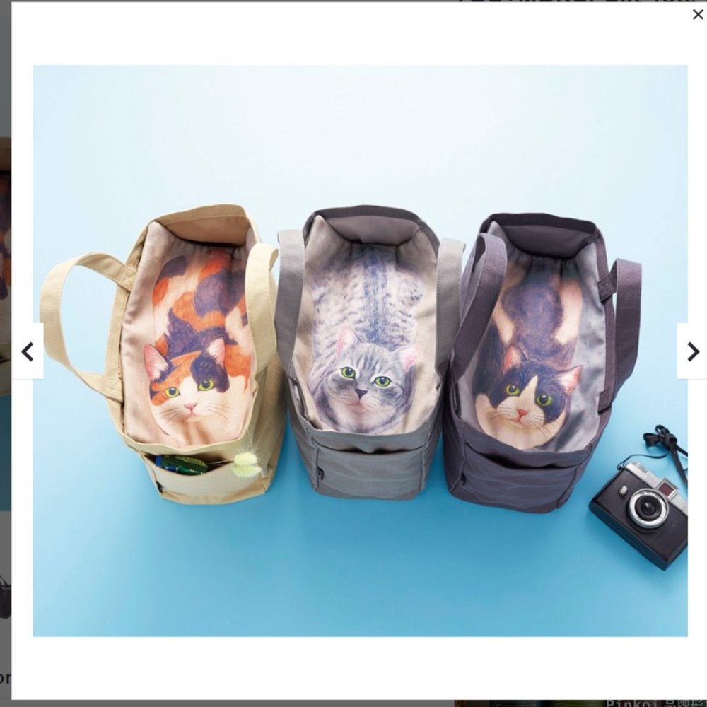 Lunch box/totes  Bento bag Japan